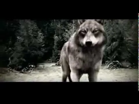 Copia de eclipse batalla hombres lobo vs vampiros HD - YouTube