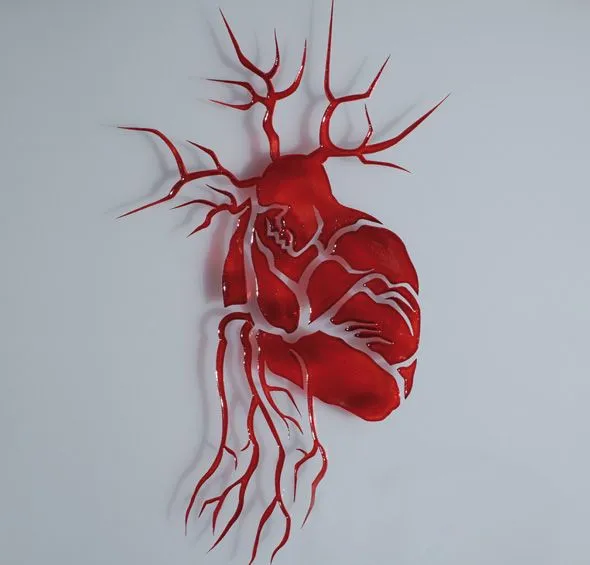 Como hacer un corazon humano con material reciclable - Imagui