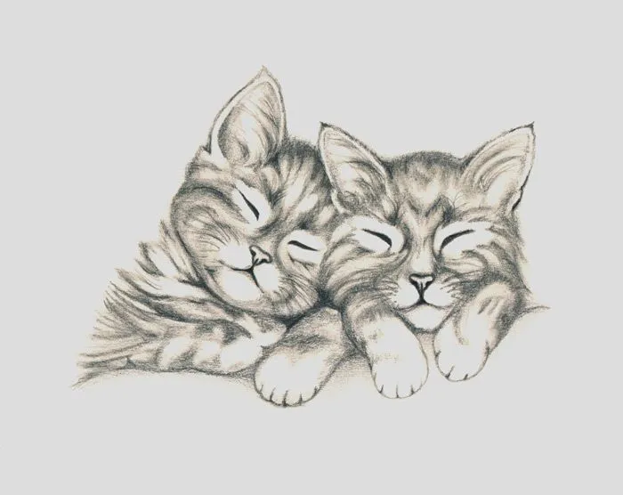 Gatitos dibujados a lápiz - Imagui
