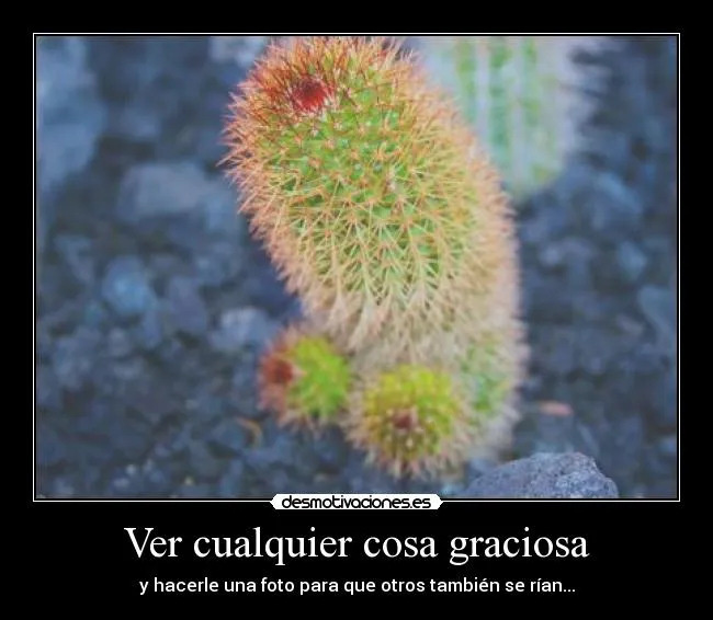 Ver cualquier cosa graciosa | Desmotivaciones