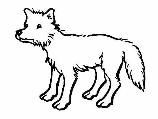 Dibujos para colorear de coyote - Imagui