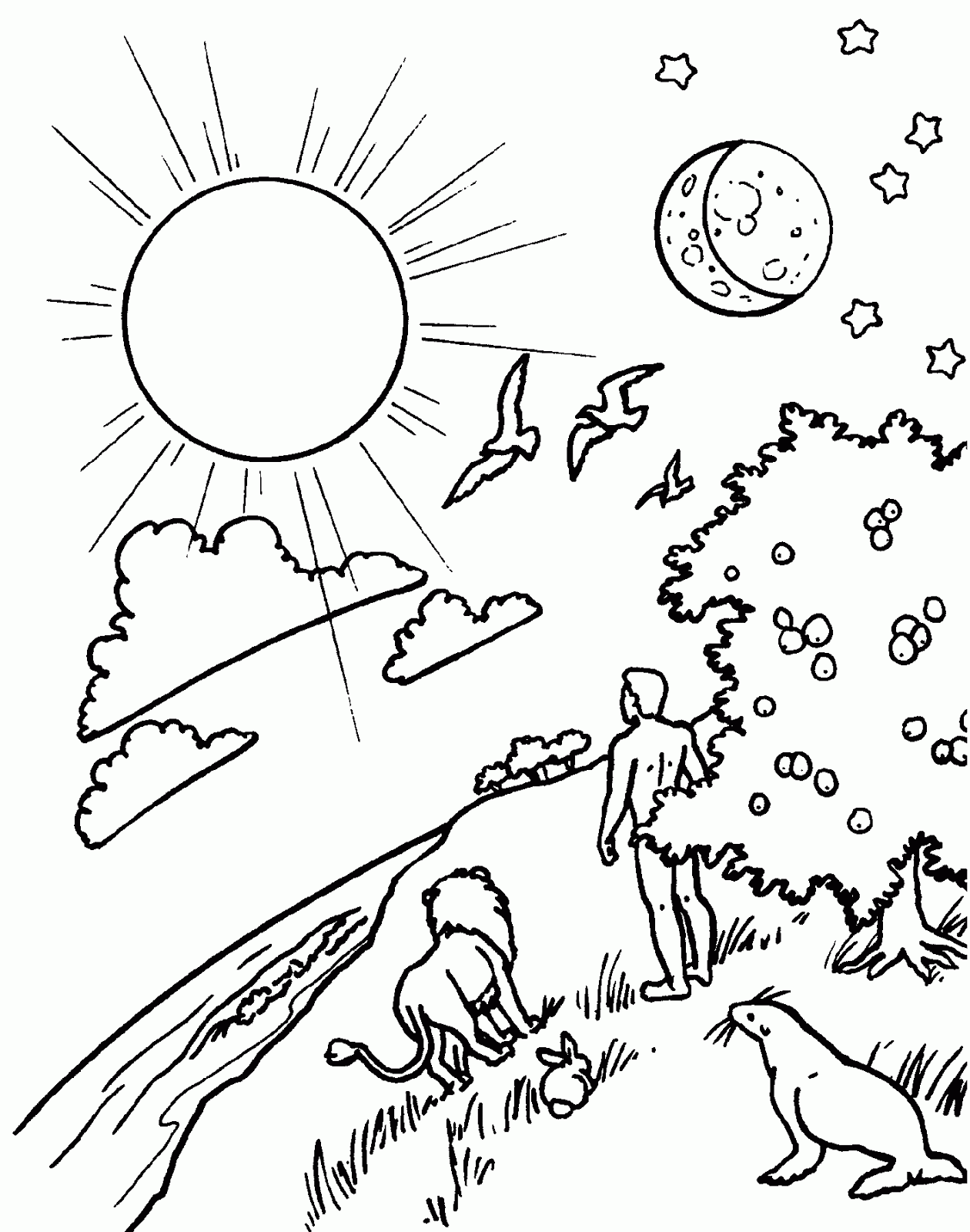 Dibujos de la creación de Dios para niños para colorear - Imagui