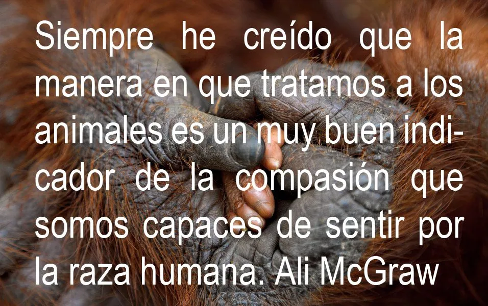Siempre he creído que la manera en que tratamos a los animales es ... Siempre he creído que la manera en que tratamos a los animales es ...