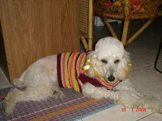 Crochet de Nieves: Ropa para Mascotas. Cod. RM3C