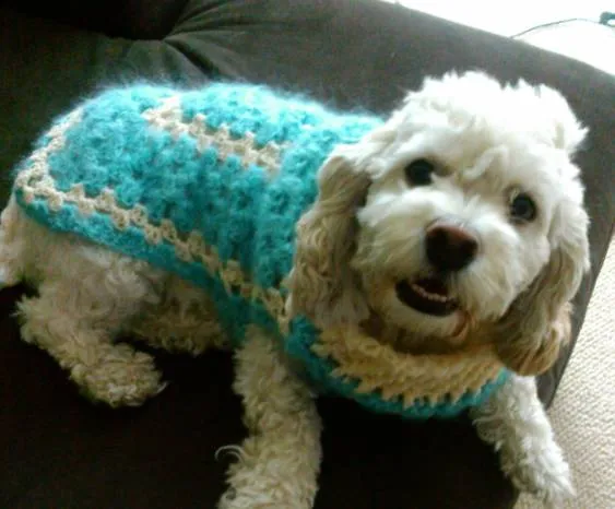 Mi Crochet: Suéter de perrito |