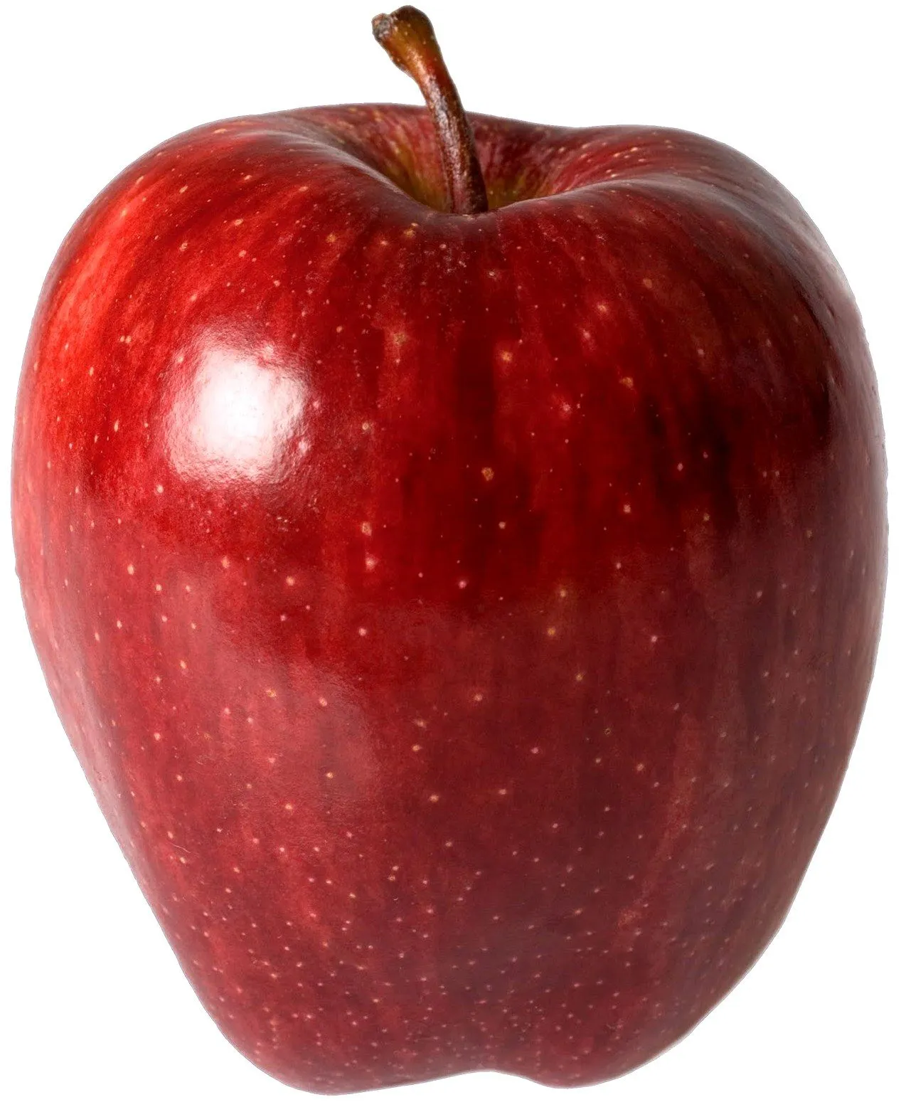 Crónica de Torreón: Una manzana hechizada por venganza Crónica de Torreón: Una manzana hechizada por venganza