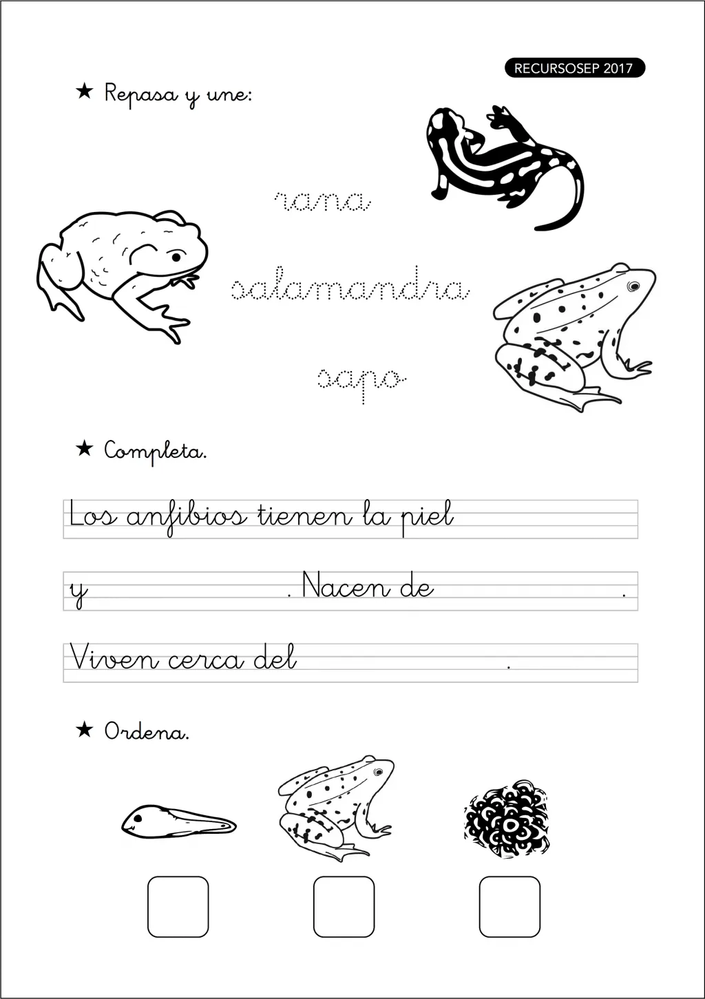 Mi cuadernillo de los animales vertebrados – Primer Ciclo Primaria