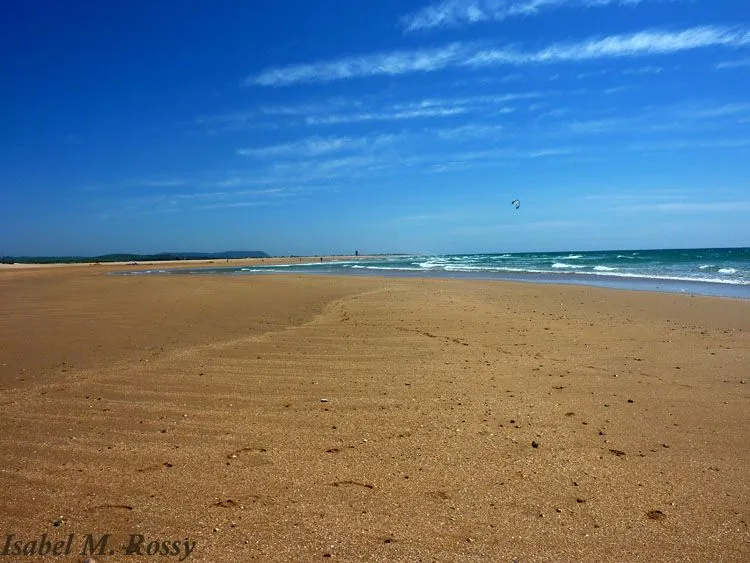 Cuaderno de Mareas: El Mar del Sur / Conil (Cádiz) - II - Cuaderno de Mareas: El Mar del Sur / Conil (Cádiz) - II -