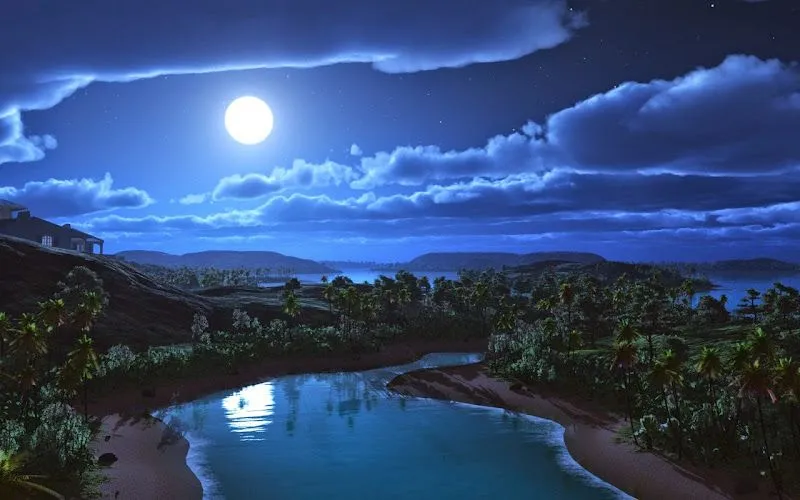 Cuaderno Nocturno: Sueños con luna