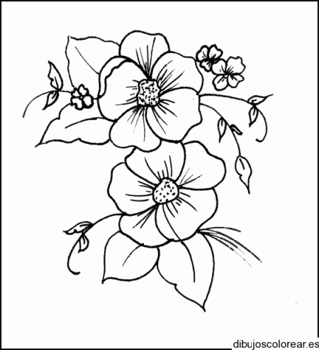 Dibujos de flores para cuadros - Imagui