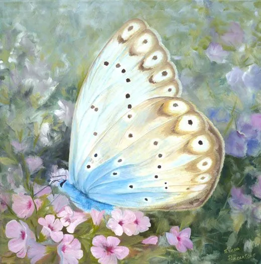 cuadros de mariposas « Mi Galeria de Cuadros al Oleo