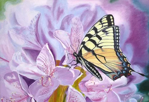 cuadros de mariposas « Mi Galeria de Cuadros al Oleo