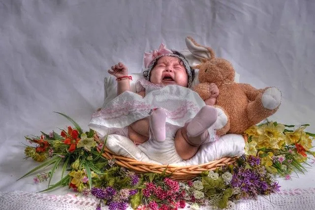 cuento de conejitos | Flickr - Photo Sharing! cuento de conejitos | Flickr - Photo Sharing!