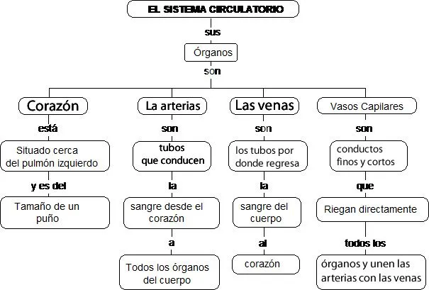 CuentosDeDonCoco.Com: MAPA CONCEPTUAL DEL SISTEMA CIRCULATORIO