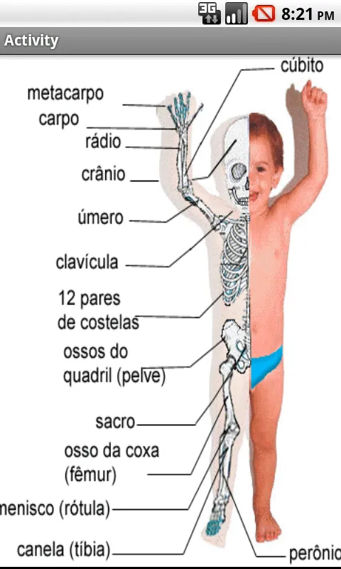 El cuerpo humano - Android Apps on Google Play El cuerpo humano - Android Apps on Google Play