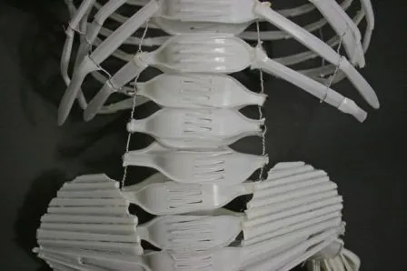Materiales para maqueta esqueleto humano con tenedores - Imagui