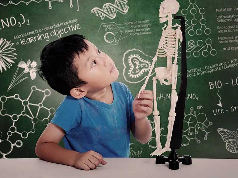 Cuerpo humano para niños: ¡aprender a conocer nuestro cuerpo!