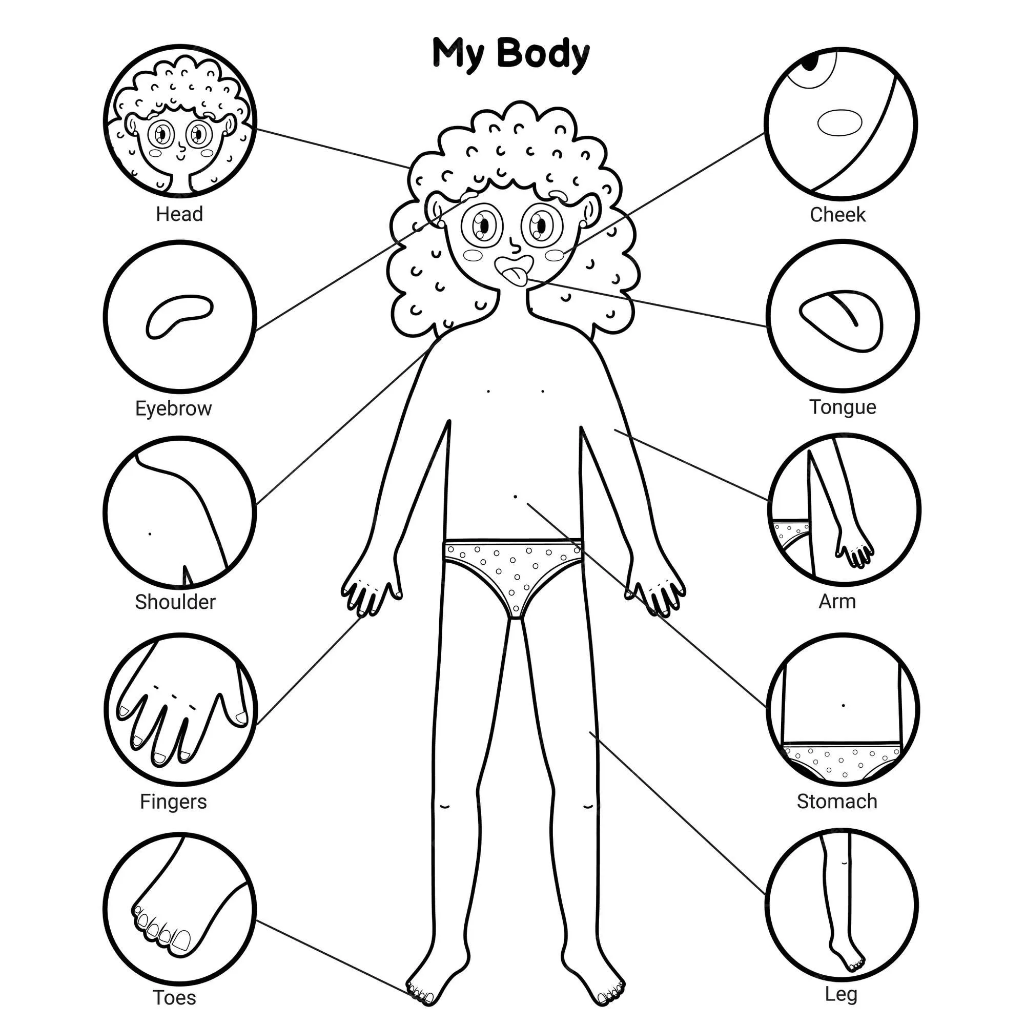 Mi cuerpo partes cartel educativo en blanco y negro con una niña.  aprendizaje del cuerpo humano para niños en edad escolar y preescolar.  plantilla de página para colorear. | Vector Premium