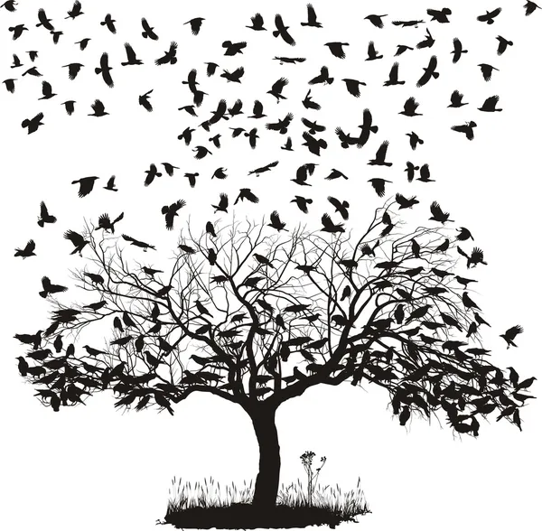 cuervos en un árbol — Vector stock © vlado #10667169