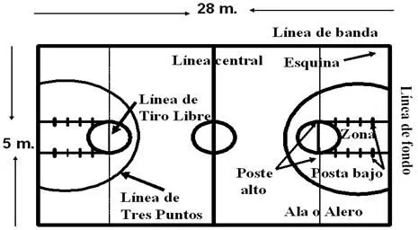 Dibujos de una cancha de basquetbol y sus medidas - Imagui