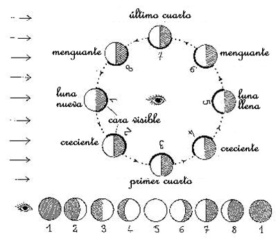 CULTURA MISCELANEAS IMAGENES DIBUJOS: DIBUJOS: FASES DE LA LUNA O ...