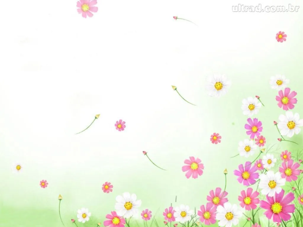 Curiosidades da Net: Wallpapers de Flores Papel de Parede Curiosidades da Net: Wallpapers de Flores Papel de Parede
