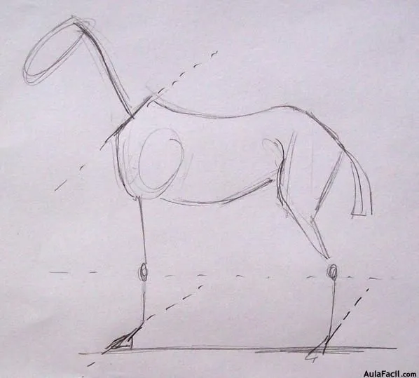 Curso gratis de Dibujo de Caballos - Anatomía del caballo ...