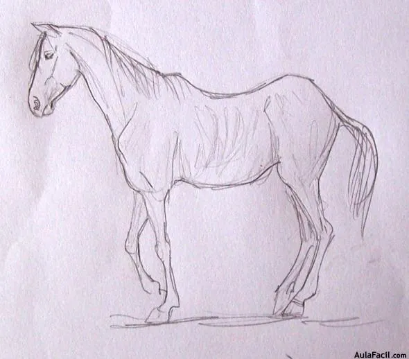 Curso gratis de Dibujo de Caballos - Las edades del caballo ...