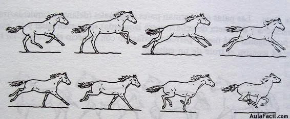 Curso gratis de Dibujo de Caballos - El movimiento. Las ... Curso gratis de Dibujo de Caballos - El movimiento. Las ...