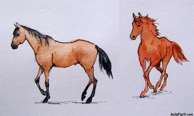 Curso gratis de Dibujo de Caballos - El pelaje | AulaFacil.com ... Curso gratis de Dibujo de Caballos - El pelaje | AulaFacil.com ...