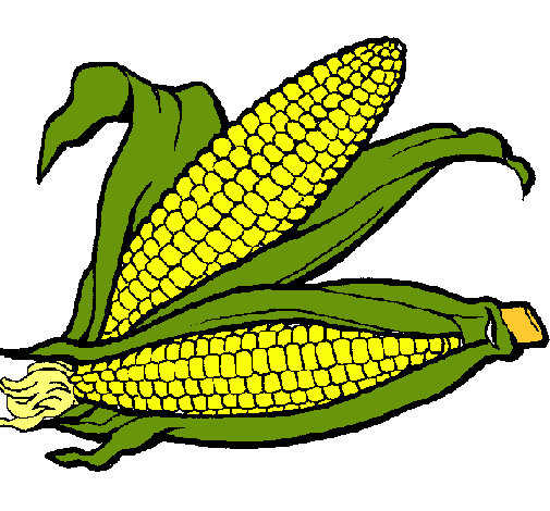 Dibujo de Mazorca de maíz pintado por Elote en Dibujos.net el día ...