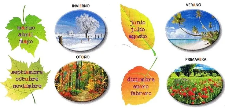 Las estaciones del año | Clima, meses y estaciones | Pinterest ...
