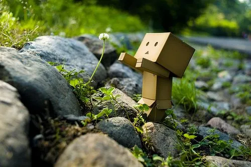 Danbo, el robot de madera que ha conquistado el mundo de la ...