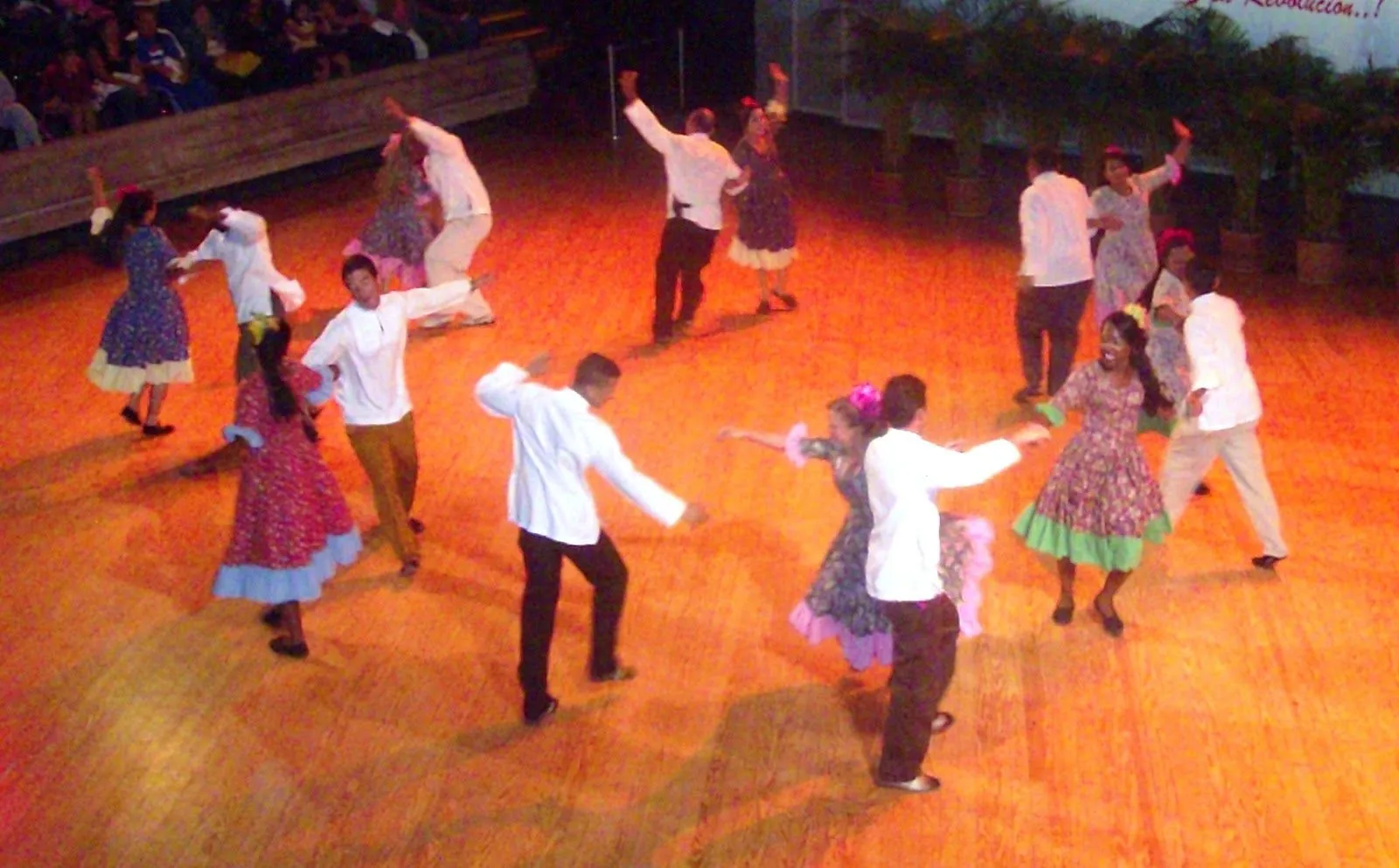 LAS DANZAS Y BAILES TRADICIONALES DE YARACUY LAS DANZAS Y BAILES TRADICIONALES DE YARACUY