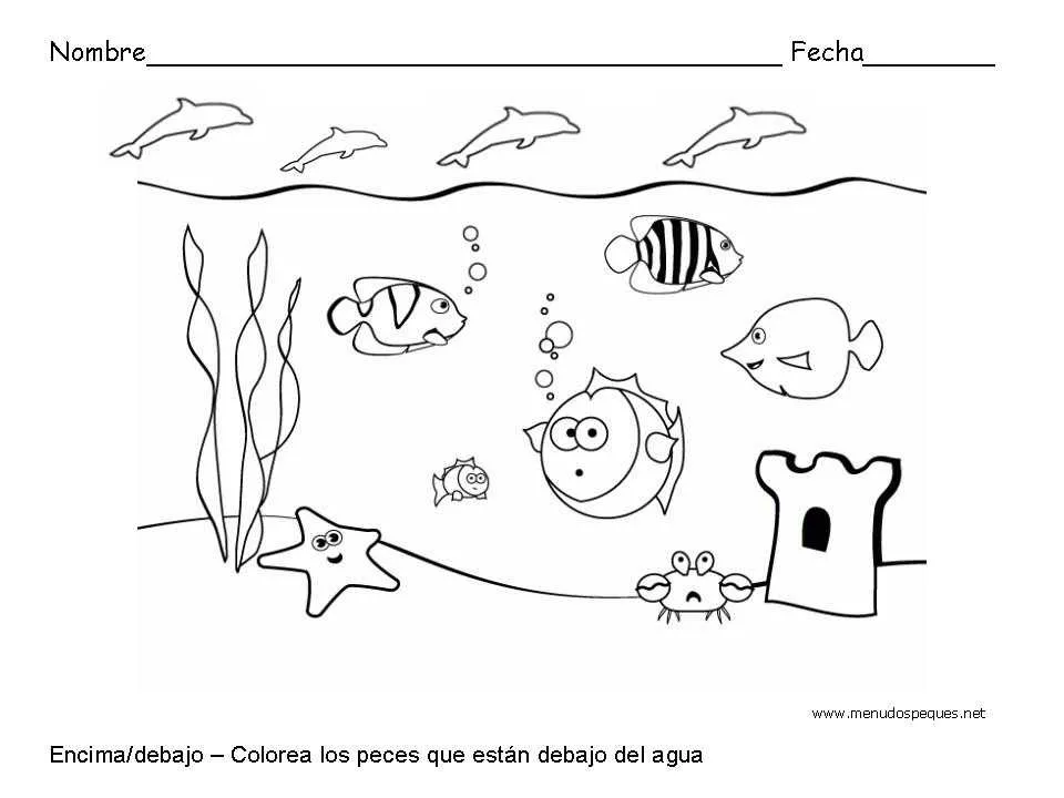 Encima y debajo, peces - Fichas de conceptos básicos