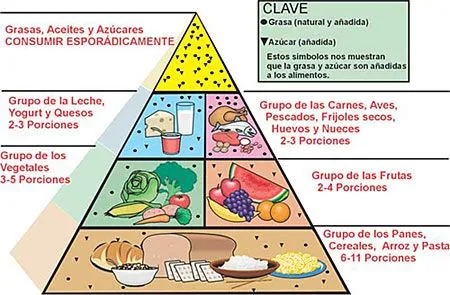 Expl piramide alimenticia - Imagui