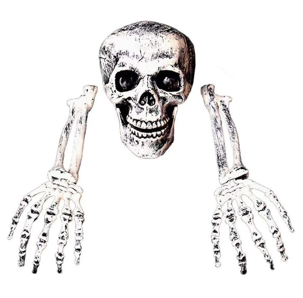 Decoración de Calavera de Esqueleto de Halloween, Horror de Halloween  enterrado Calaveras de Esqueleto vivientes jardín Patio Decoraciones de  césped : Amazon.com.mx: Hogar y Cocina