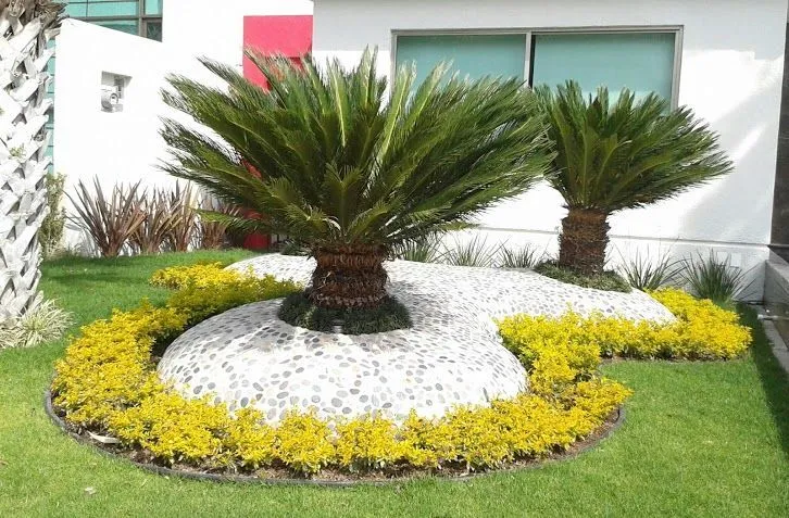 Decoración de palmas sica con piedras de rio y cemento hecho en ...