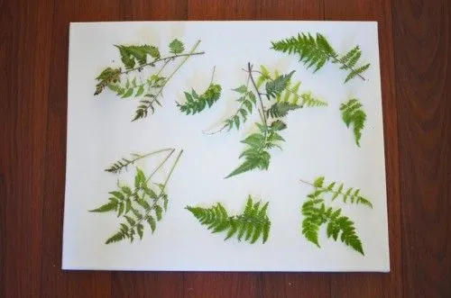 Decorar las paredes con cuadros hechos con hojas de plantas. | Mil ...