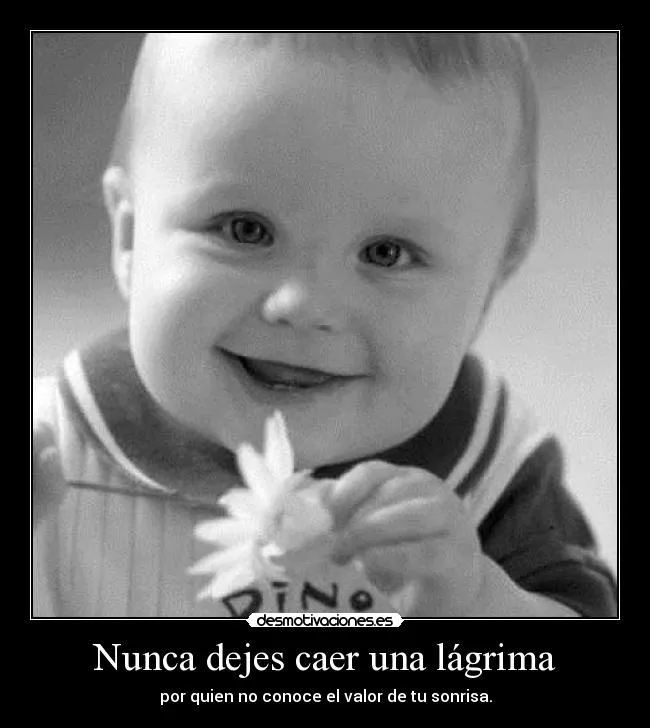 Nunca dejes caer una lágrima | Desmotivaciones Nunca dejes caer una lágrima | Desmotivaciones