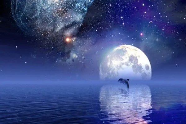 Delfín bajo un cielo estrellado (14821)