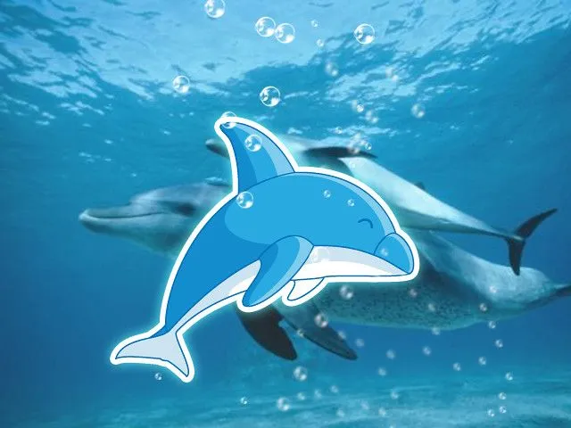 delfin esponjosito vector character background resource google delfin esponjosito vector character background resource google