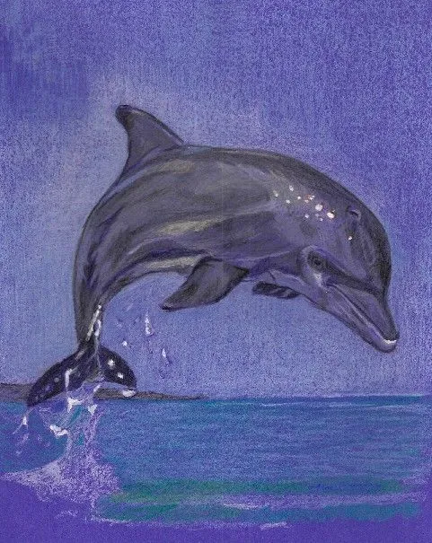 Delfin dibujo a lapiz - Imagui