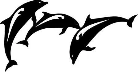 El significado detrás del tatuaje del delfín » DELFINPEDIA