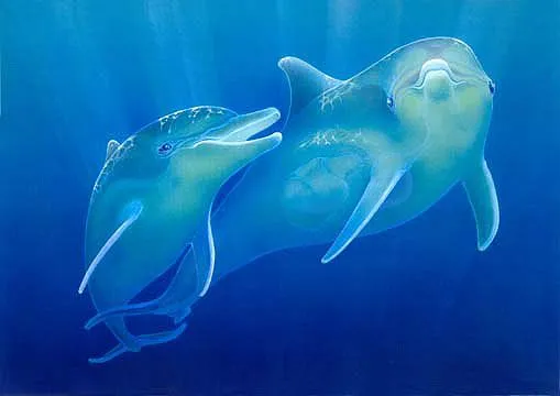 Imágenes de delfínes en movimientos - Imagui