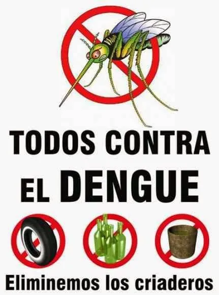 El dengue para colorear - Imagui