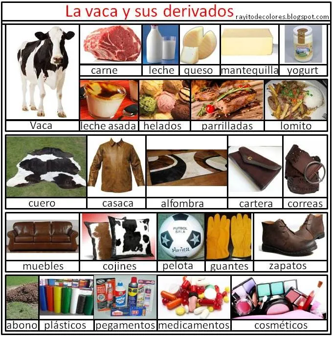 Imagenesla vaca y sus derivados - Imagui