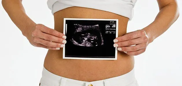 Desarrollo del embrión en el segundo mes de embarazo