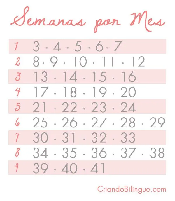Desarrollo Fetal – Semanas por Mes **Actualizado | Criando Bilingue Desarrollo Fetal – Semanas por Mes **Actualizado | Criando Bilingue