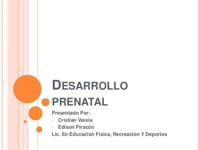 Desarrollo prenatal